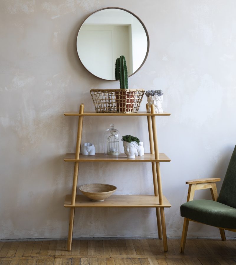 interior-decor-with-mirror-potted-plant